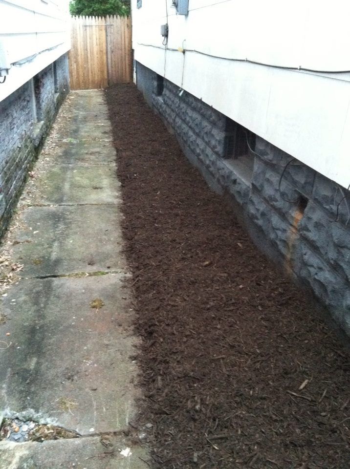 photo 1379980_10151706668742285_2066800198_n.jpg